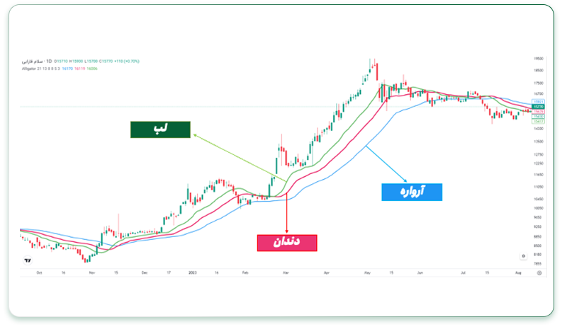 اندیکاتور تمساح ویلیامز 