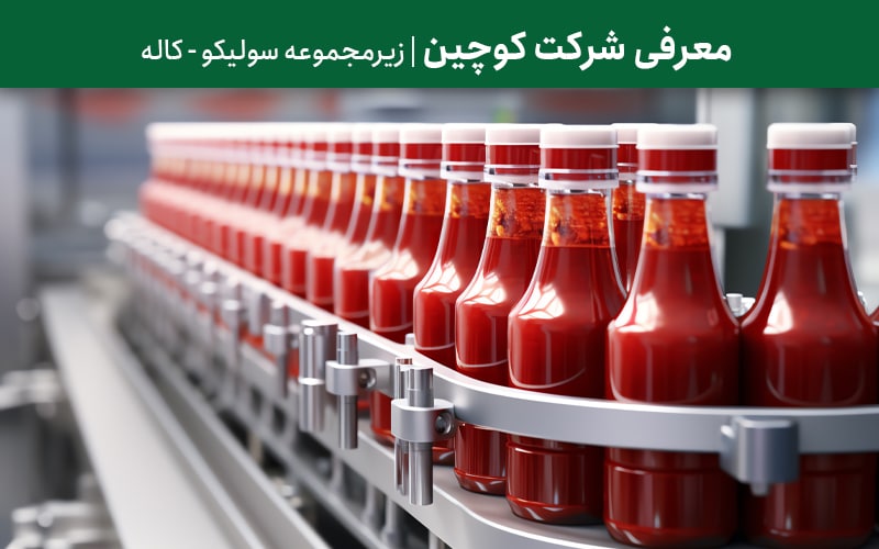 معرفی شرکت کوچین